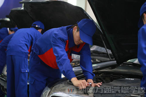 萬通成就事業 職場技能論英雄