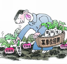 填志愿指南：文科生報什么專業才能“畢業不失業”？