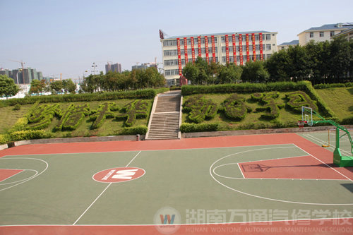 湖南萬通汽修學校，標準籃球場
