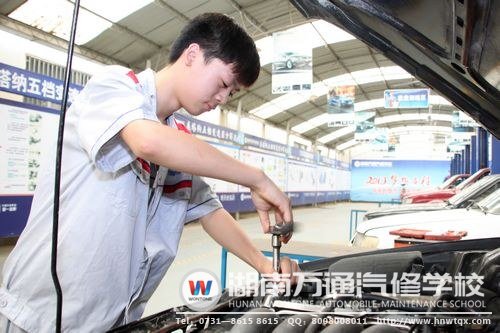 張進(jìn)銓的實踐操作有模有樣