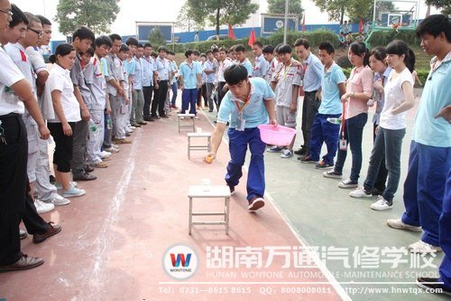 “搶收搶種，穩中前進！