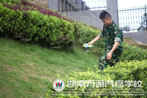 在片刻的歇息時間里，帥哥新生不是坐著休息，而是拾起了飄到草叢中的垃圾