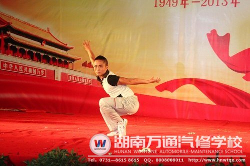 中華武術精彩絕倫