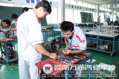 湖南萬通為學子提供多種實踐機會，讓他們在畢業后適應企業需求
