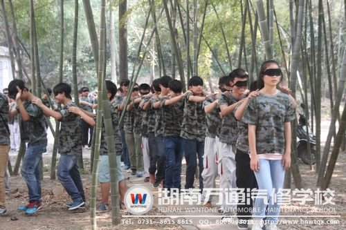 “仙人指路”，講究的是一種默契！