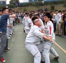 “心的凝聚 力的較量” 校園拔河比賽強勢來襲！