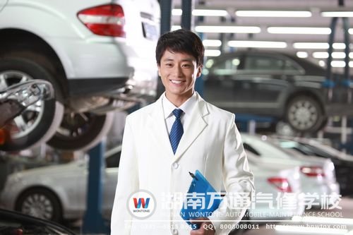 學(xué)汽修當(dāng)汽車(chē)醫(yī)生，不做春節(jié)恐歸族！