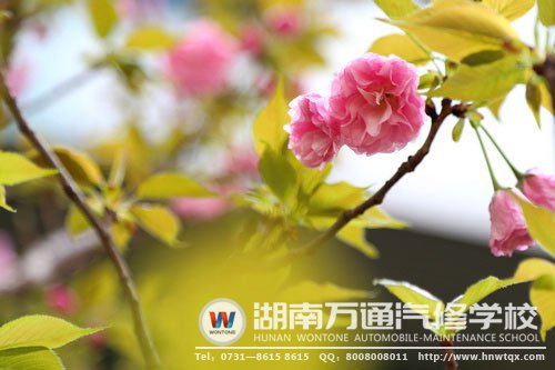 美，處處都有