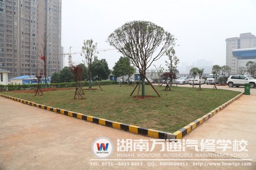 學校綠化帶大改造中