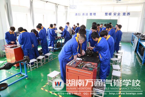 小組學習，互幫互助，更有利學習專業技能