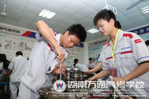 學生分組實訓，團結合作互相學習
